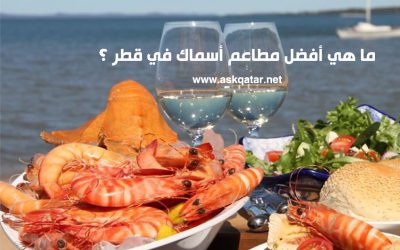 ما هي أفضل مطاعم سمك في قطر ؟