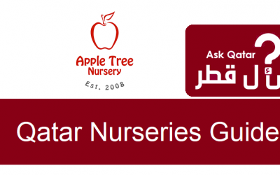 دليل حضانات قطر| Apple Tree Nursery