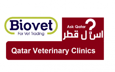 صيدليات بيطرية في قطر| Biovet veterinary center