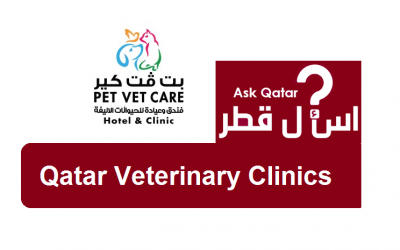 عيادات قطر البيطرية| PetVet Care Hotel and Clinic