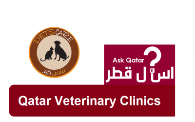 عيادات قطر البيطرية| Pets Care Clinic