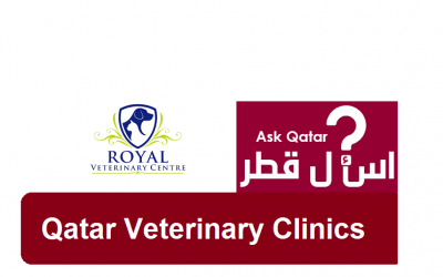 عيادات قطر البيطرية| Royal Veterinary Center
