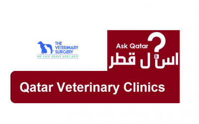 عيادات قطر البيطرية| The Veterinary Surgery