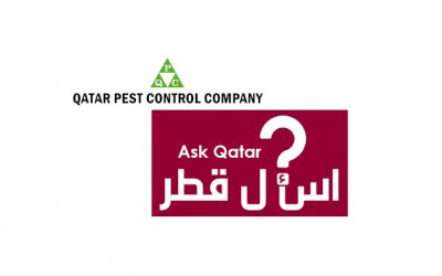 شركات مكافحة حشرات | Qatar Pest Control Company