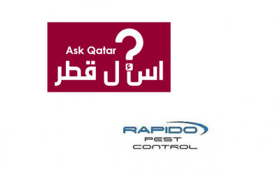 شركات مكافحة حشرات | شركة رابيدو قطر