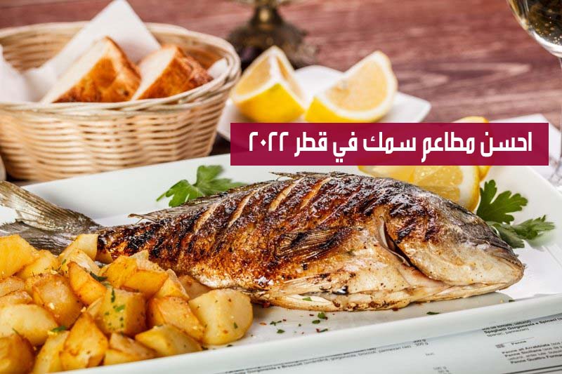 احسن مطاعم سمك قطر مع الأسعار و المنيو