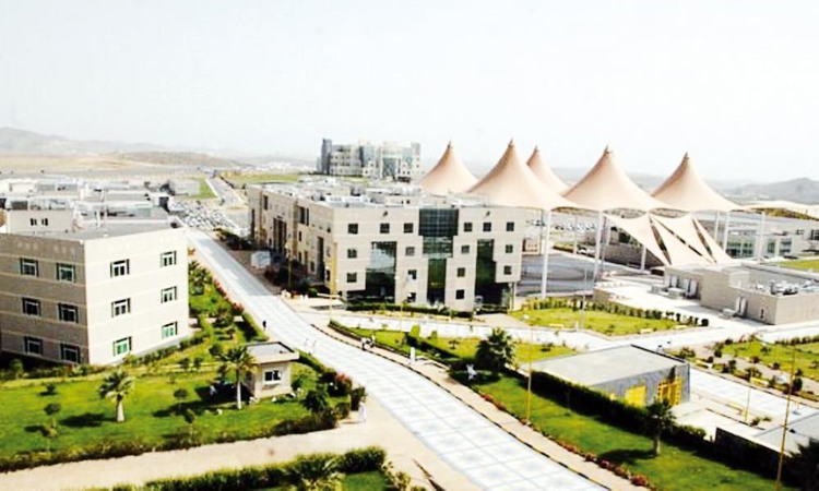 جامعة قطر تخصصات وكليات