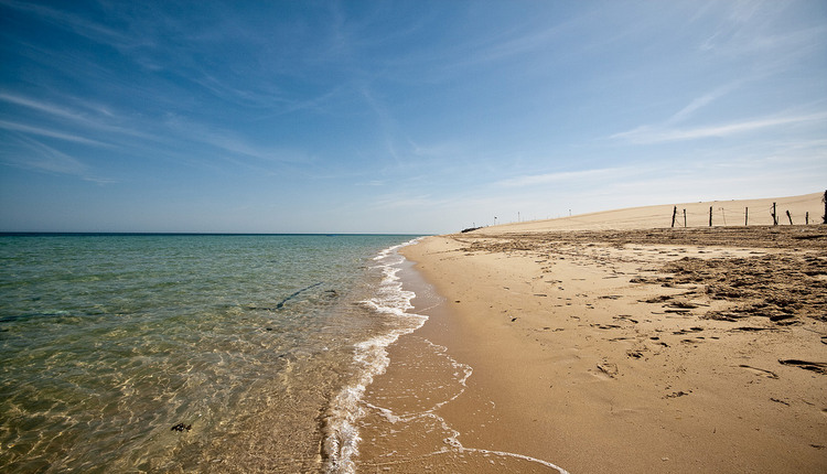شواطئ للشواء في قطر