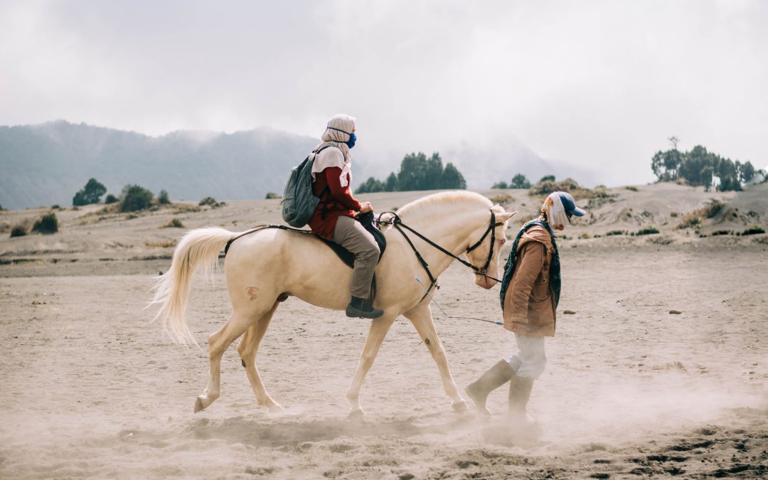 أفضل أماكن ركوب الخيل في قطر Horse Riding