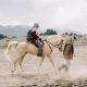 أفضل أماكن ركوب الخيل في قطر Horse Riding