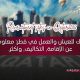 دليلك للعيش والعمل في قطر: معلومات عن الإقامة، التكاليف، وأكثر