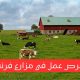 فرص عمل في مزارع فرنسا